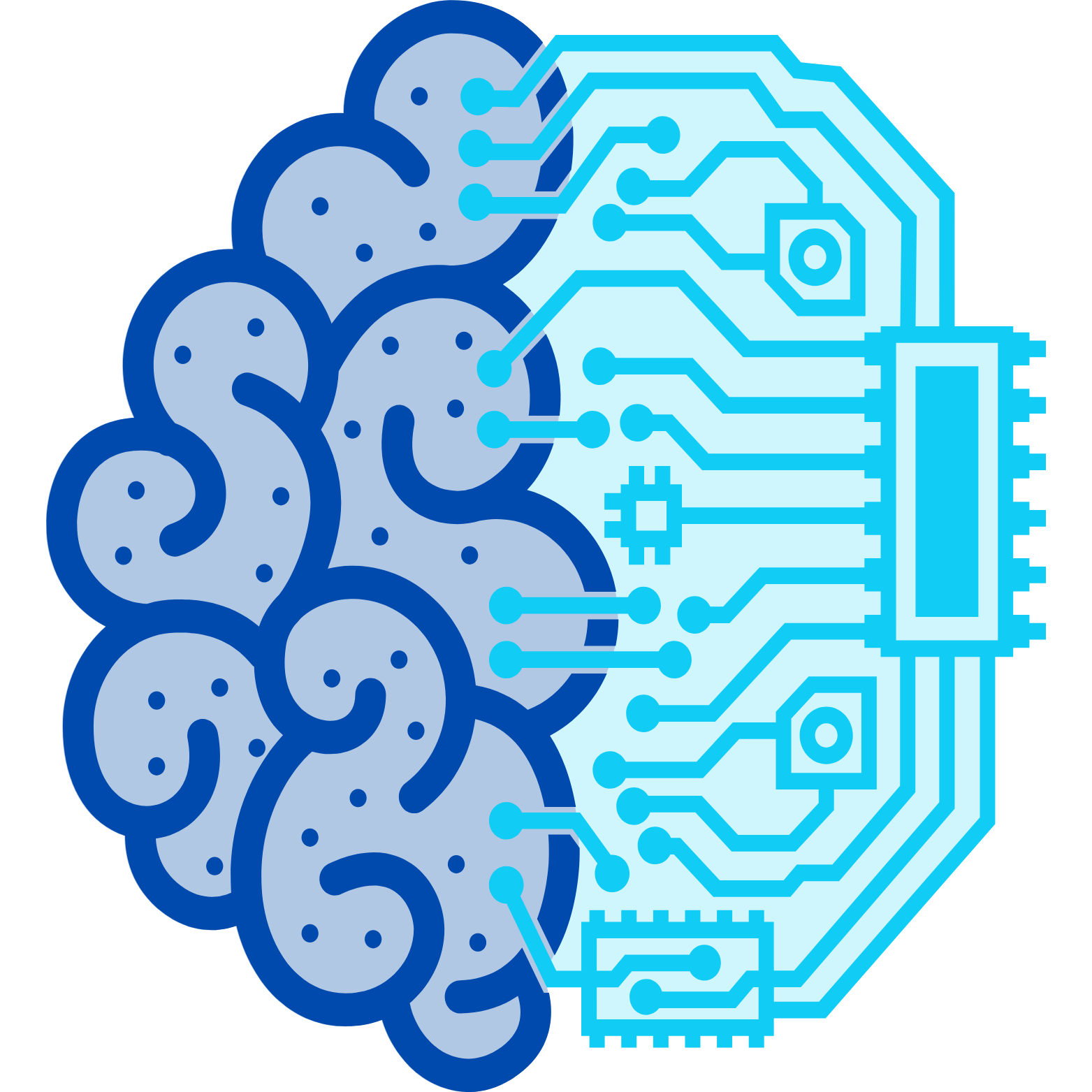 STEM Education